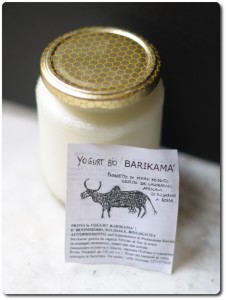 Il vasetto di yogurt di Barikamà - dal sito Food Revolution 
