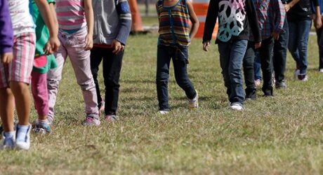 Immigration Overload