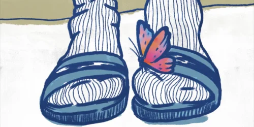 coveralgoritmofarfalla_2048x